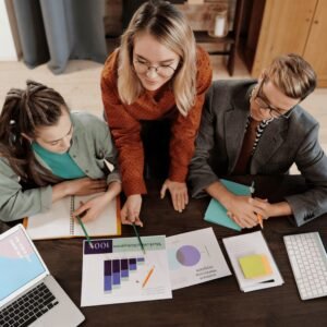 Startup Plan paid